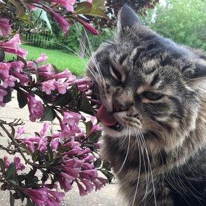 Meet your Posher, Riley